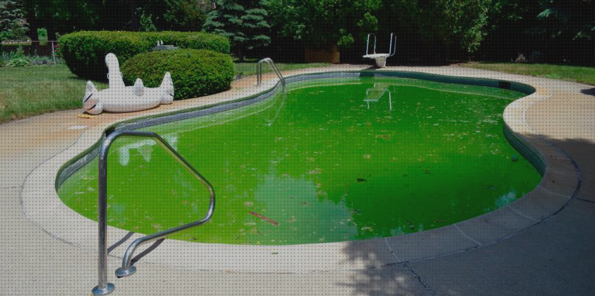 Las mejores algas piscina desmontable Más sobre bañera porcelanosa hidromasaje algas en suelo piscina inflable