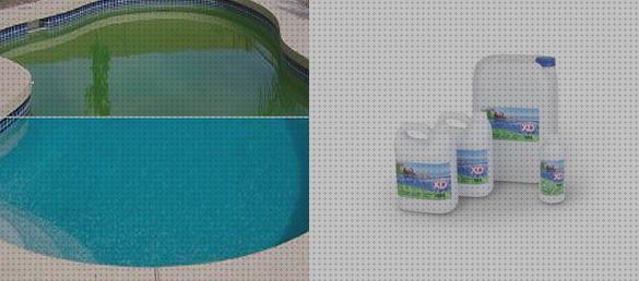 Mejores 19 anti algas piscinas bajo análisis