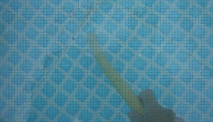 Las mejores plastica aspiradora fondo piscina plastica