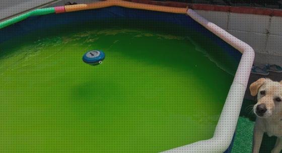 Review de cloro piscina desmontable