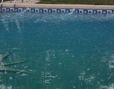 Las mejores piscina sobrepuesta piscina 300x175x80 flow swimwear floculador piscina