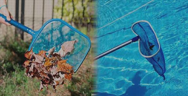 Las 26 Mejores hojas para piscinas