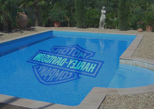 Las mejores marcas de ballas protectoras de piscinas piscina con techo piscinas desmontable naturclara limpiadoras de fondo de piscinas