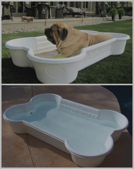 Mejores 25 desmontables piscinas perros