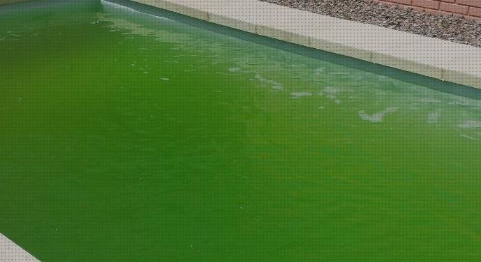 Review de piscina con agua verde y turbia