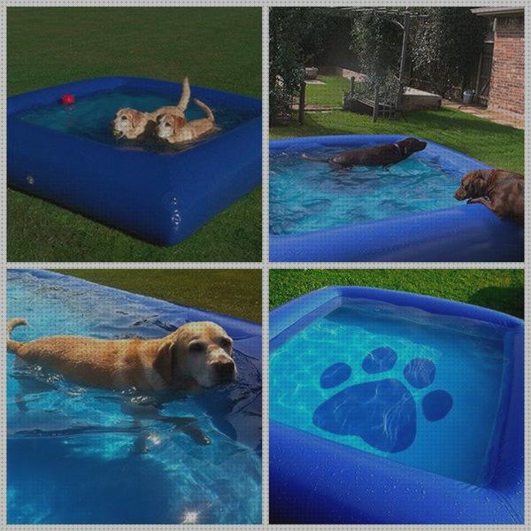 ¿Dónde poder comprar piscina perros piscina de perros inflable?