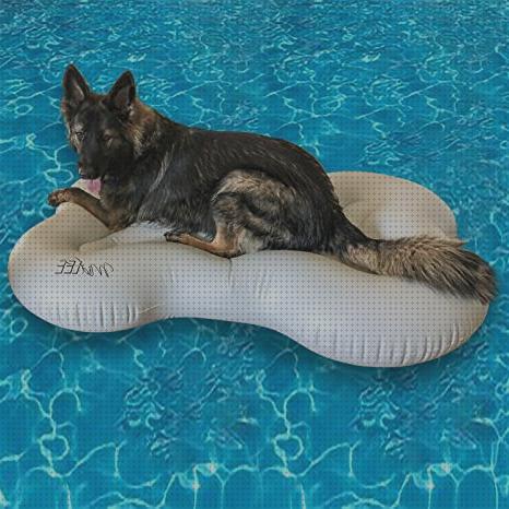 Las mejores marcas de piscina perros piscina de perros inflable