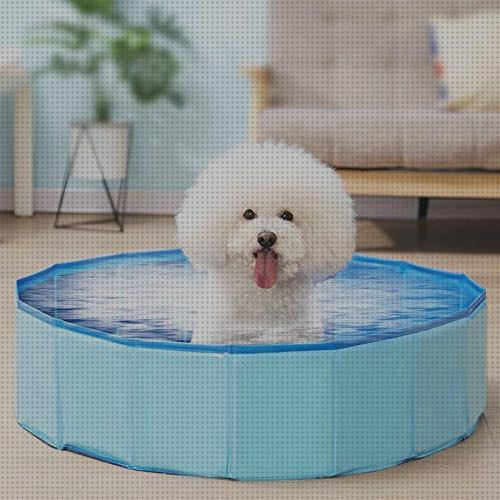 Review de piscina de perros inflable