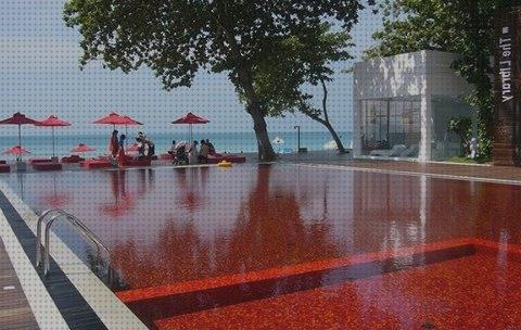 TOP 30 piscinas gresite rojos