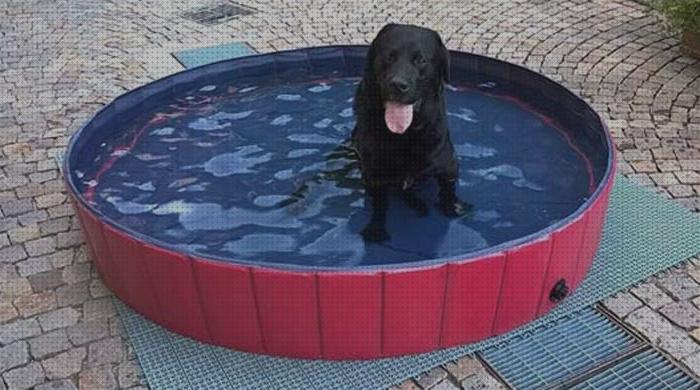 ¿Dónde poder comprar hinchables piscinas piscina hinchable perro?