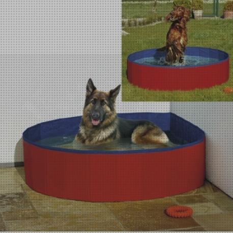 Las mejores hinchables piscinas piscina hinchable perro