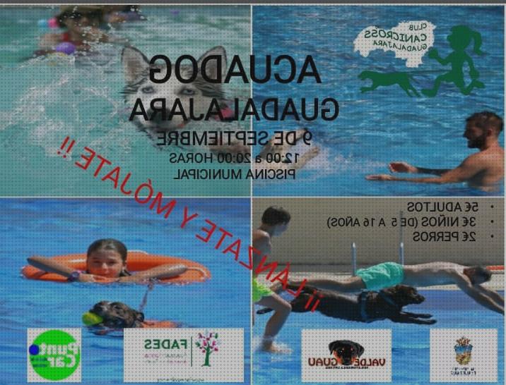 ¿Dónde poder comprar piscina infantil aquadog?