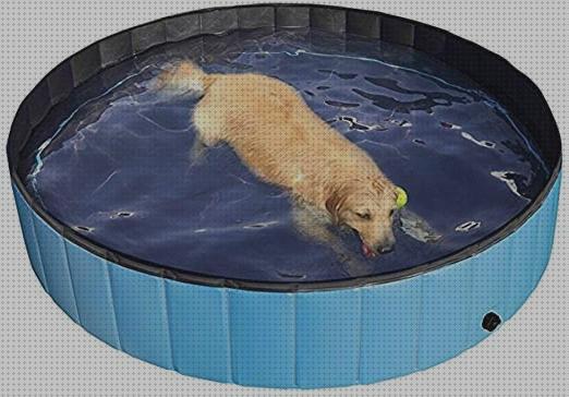Review de piscina infantil cachorro