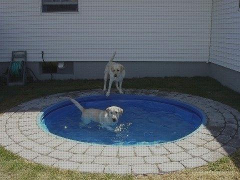 ¿Dónde poder comprar pool piscina plastic doog pool?