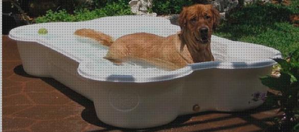 ¿Dónde poder comprar perros piscina plastico perros?