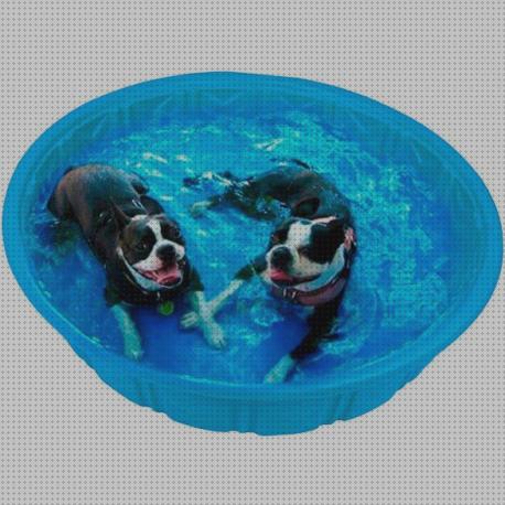 Review de piscinas de plastico rígido animales