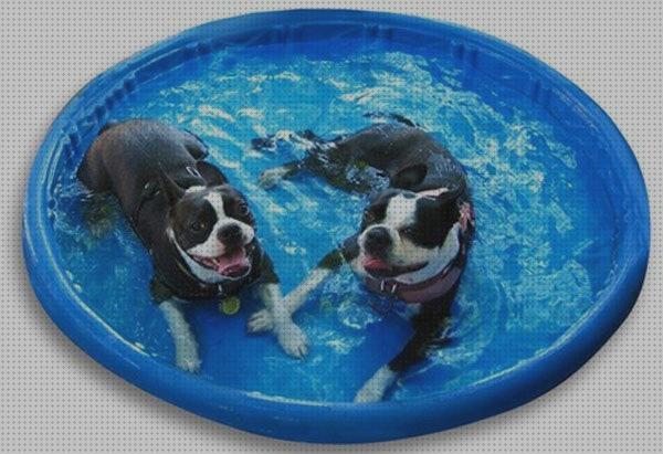 Review de piscinas hinchables de animales