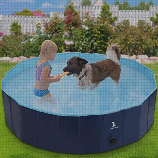 15 Mejores piscinas mascotas para comprar