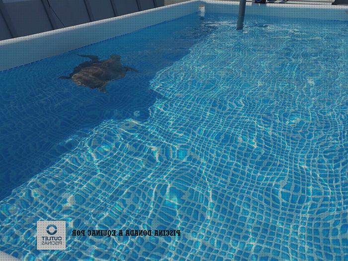 Las mejores marcas de piscinas tortugas